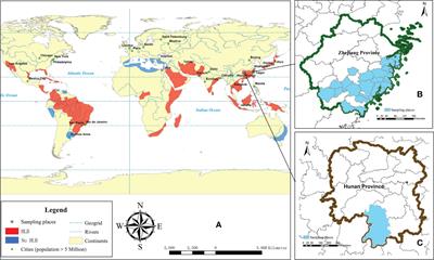 Citrus Huanglongbing correlated with incidence of Diaphorina citri carrying Candidatus Liberibacter asiaticus and citrus phyllosphere microbiome